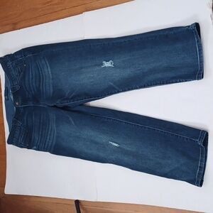 Democracy Ab SolutionDistressed Sz14W.  L.26.5". R.10".W-36. 7.5" Across Hem.